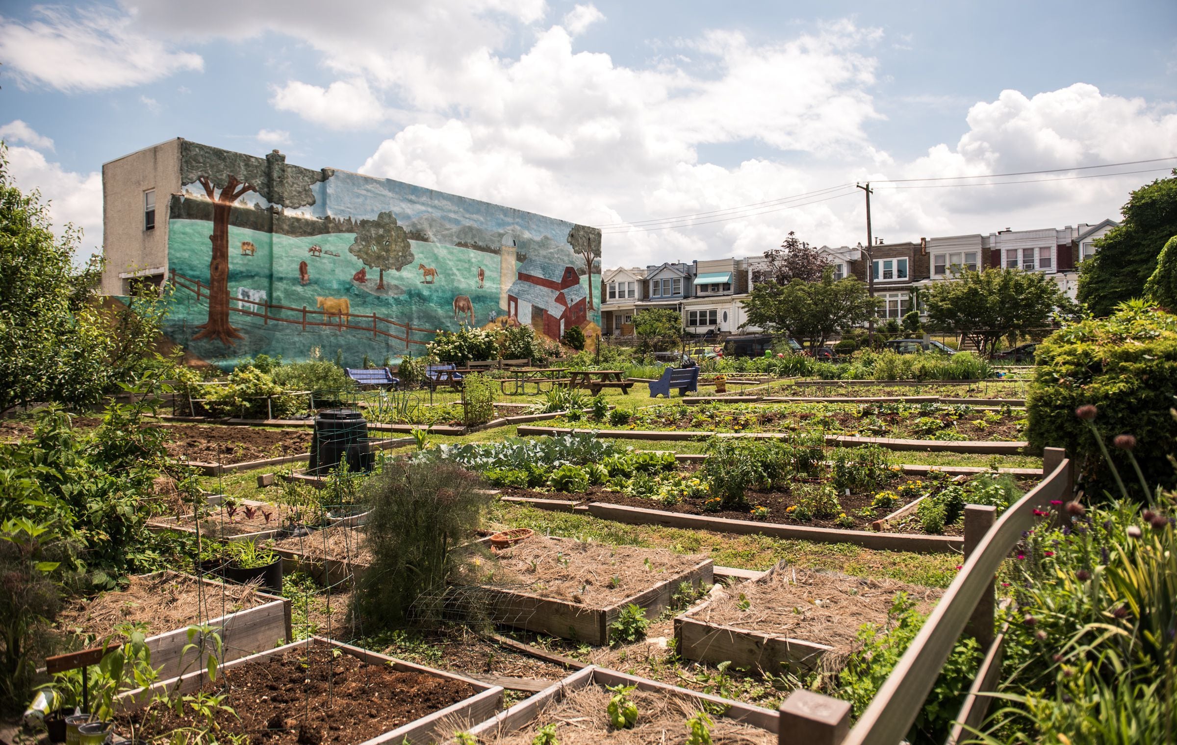 city community garden