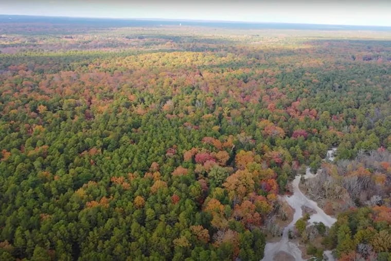 A developer is proposing to build a 55-plus community on this 700-acre forest in Pemberton Township, Burlington County, N.J. From an aerial video by the Pinelands Preservation Alliance.