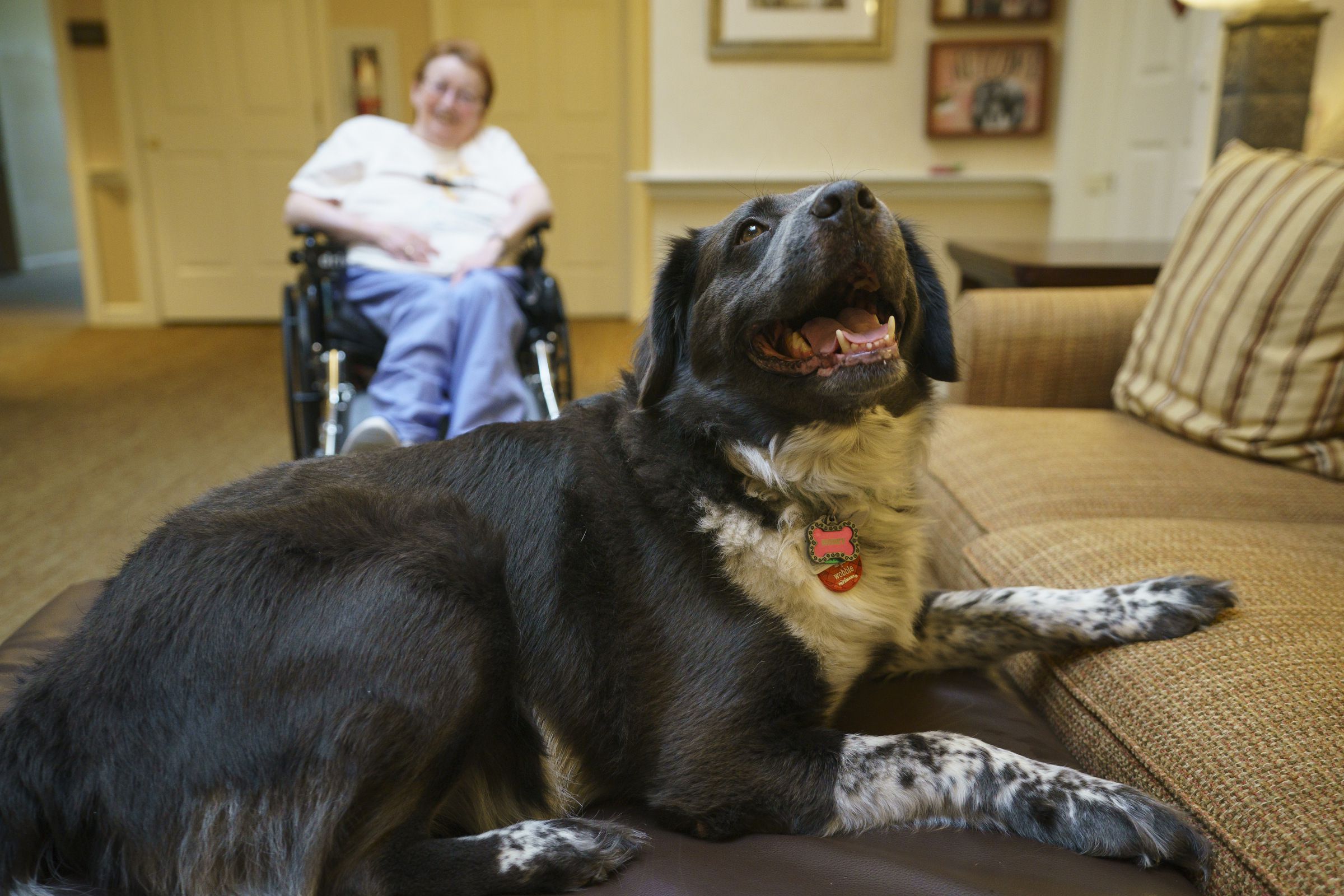 Honey the dog brings joy and comfort to residents of this senior