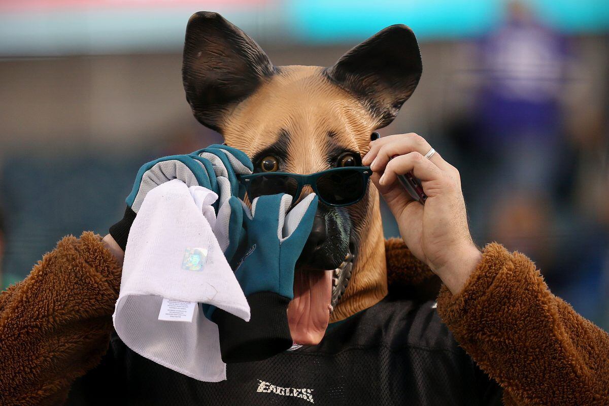 A Philadelphia Eagles' fan wears a dog mask during a practice at