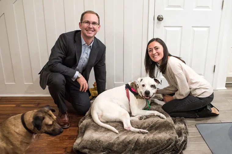 In September, Britney Kennedy and Doug Bobrow adopted Bentley, center, the PSPCA's longest resident at the time. He's the newest addition to the couple's family, which also includes Butters, left, Bentley's new favorite friend.