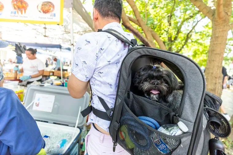 An East Falls man waits in line with his dog Teddy, 5, at the Southeast Asian Market in FDR Park on May, 25. City employees could pay for pet insurance in a Parker administration proposal to attract more young employees.