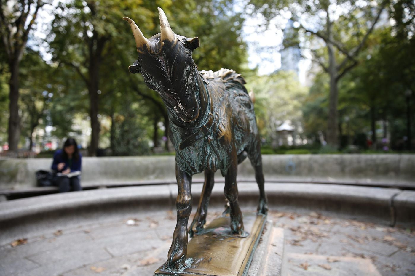 Rittenhouse Square Goat To Be Replaced Friday He Was So