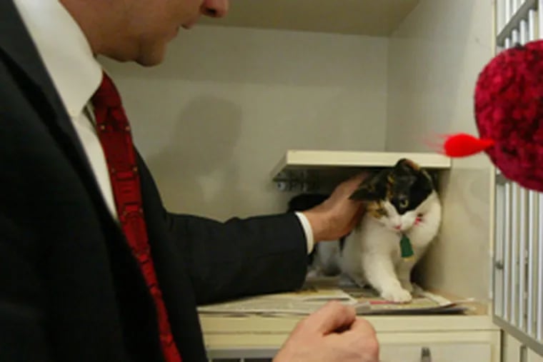 New PSPCA chief Howard Nelson and Patches the cat.