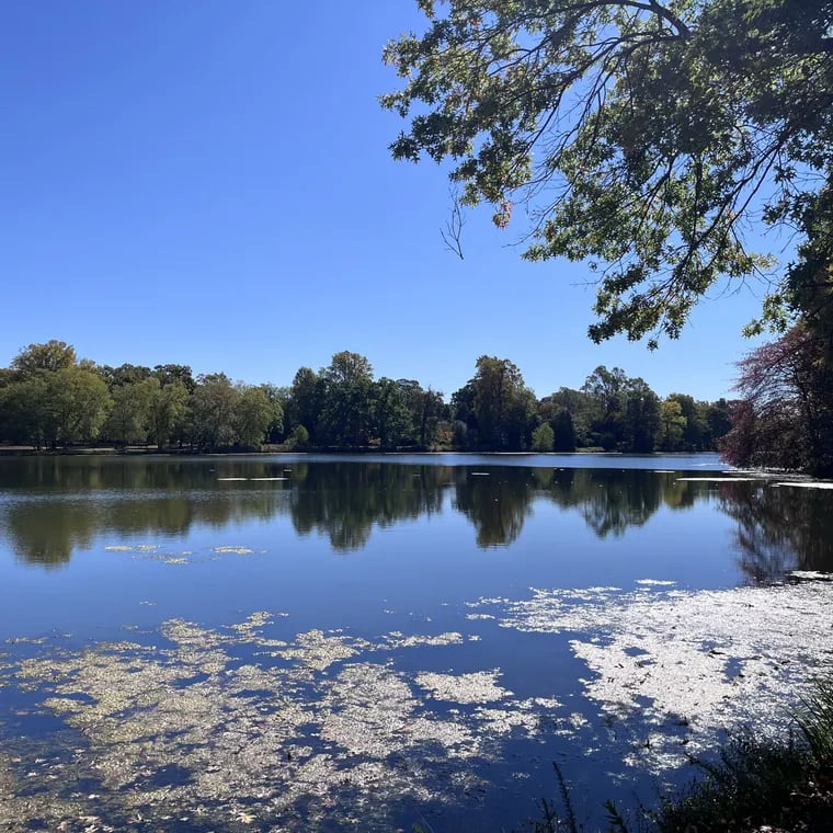 A view of Alycon Lake in Pitman, Gloucester County, N.J., on Oct. 11, 2024. The lake was contaminated by Lipari Landfill in nearby Mantua Township until it was cleaned up by the U.S. EPA in the 1990s. Lipari was removed from the Superfund list on Oct. 1, 2024, closing a chapter of what was once one of the most notorious landfills in the nation.