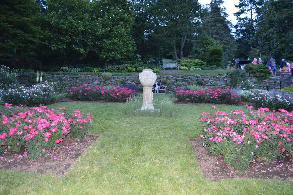 Rose Garden  Morris Arboretum & Gardens
