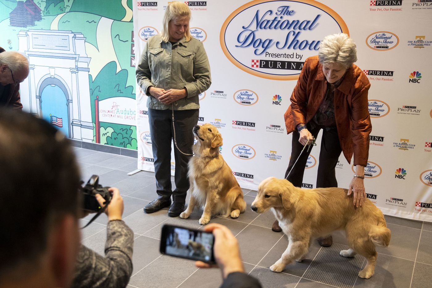 Pet 2,080 dogs at Philadelphia’s National Dog Show this weekend