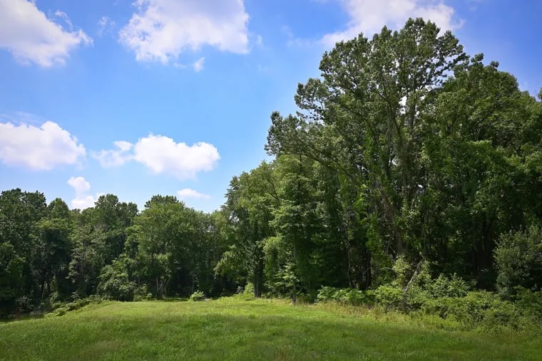 The "Boy Scout Tract" adjacent to the Schuylkill Center for Environmental Education in Philadelphia. The land in Upper Roxborough has been preserved through a permanent conservation easement.