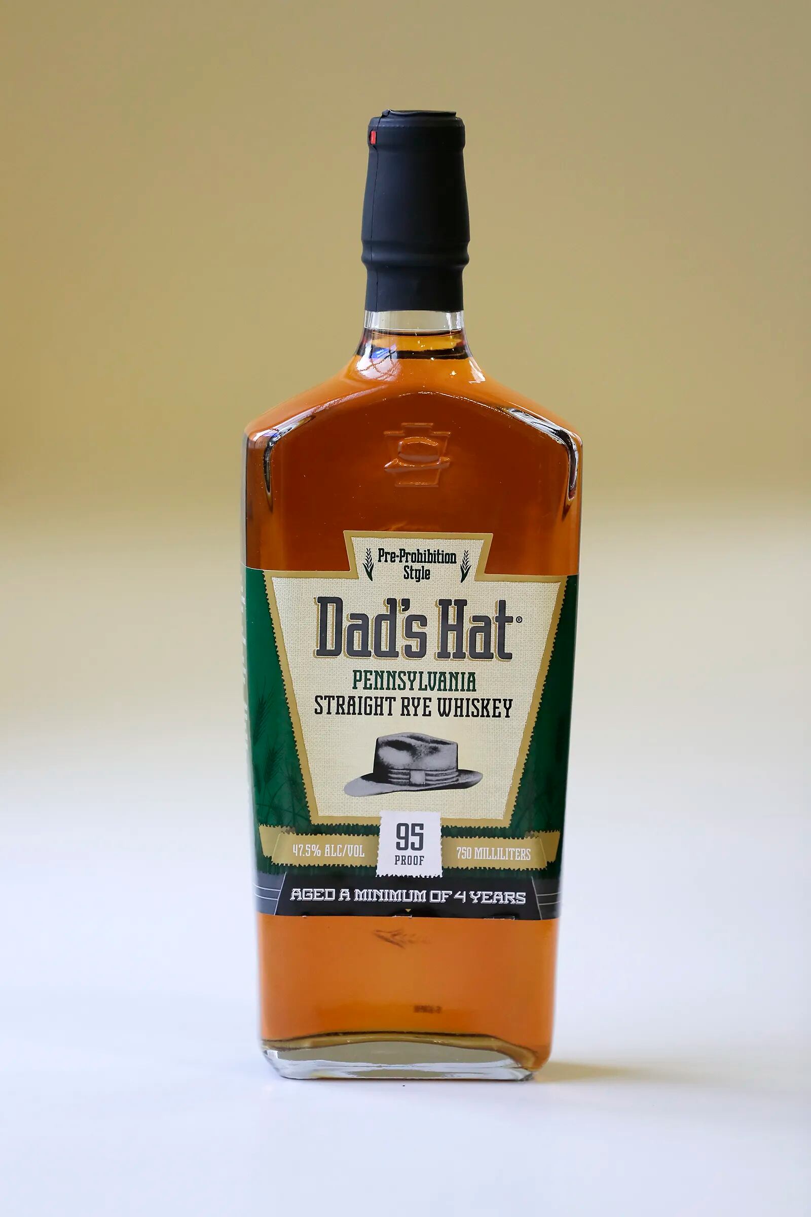 Forest Dad Hat – ReAnimator Coffee