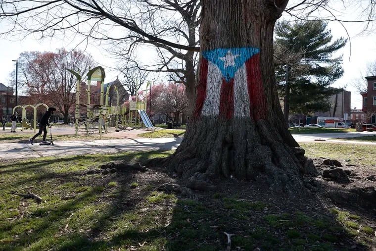 The tree with the painted flag of Puerto Rico has long been the iconic heart of Norris Square Park in Philadelphia.
