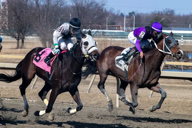 Racehorse deaths at Parx Racing are on pace to set a new record