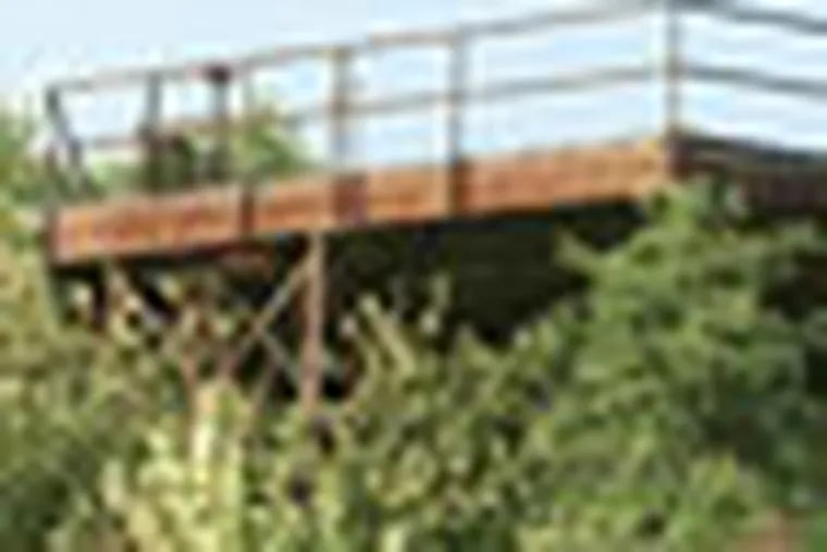 JBASE01P1DW DAVID M WARREN 7-31-01    Woolwich Twp Council hears from an insurance company Tuesday night regarding the costs and environmental risks involved in the redevelopment of the old Swedesboro Nike Missile site and radar post.  IN THIS PHOTO:  The top of a rusted tower or structure on the enclosed portion of land described in the assignment.  View is looking North from Gilchris Drive at Paulsboro Road  -Inquirer Staff Photo by David M Warren-