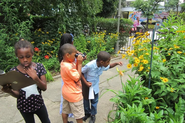 Kids explore the nature that surrounds the Wagner Free Institute of Science. Just a few trees — plus involved adults — can make the outdoors come alive for young people.