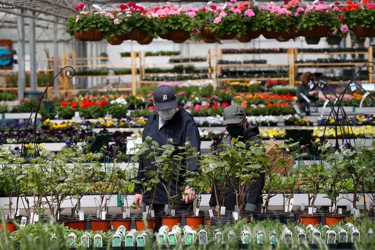 Shoppers look at plants at a nursery in Macomb, Mich. Business groups are pushing Congress to limit liability from potential lawsuits filed by workers and customers who were infected by the coronavirus.