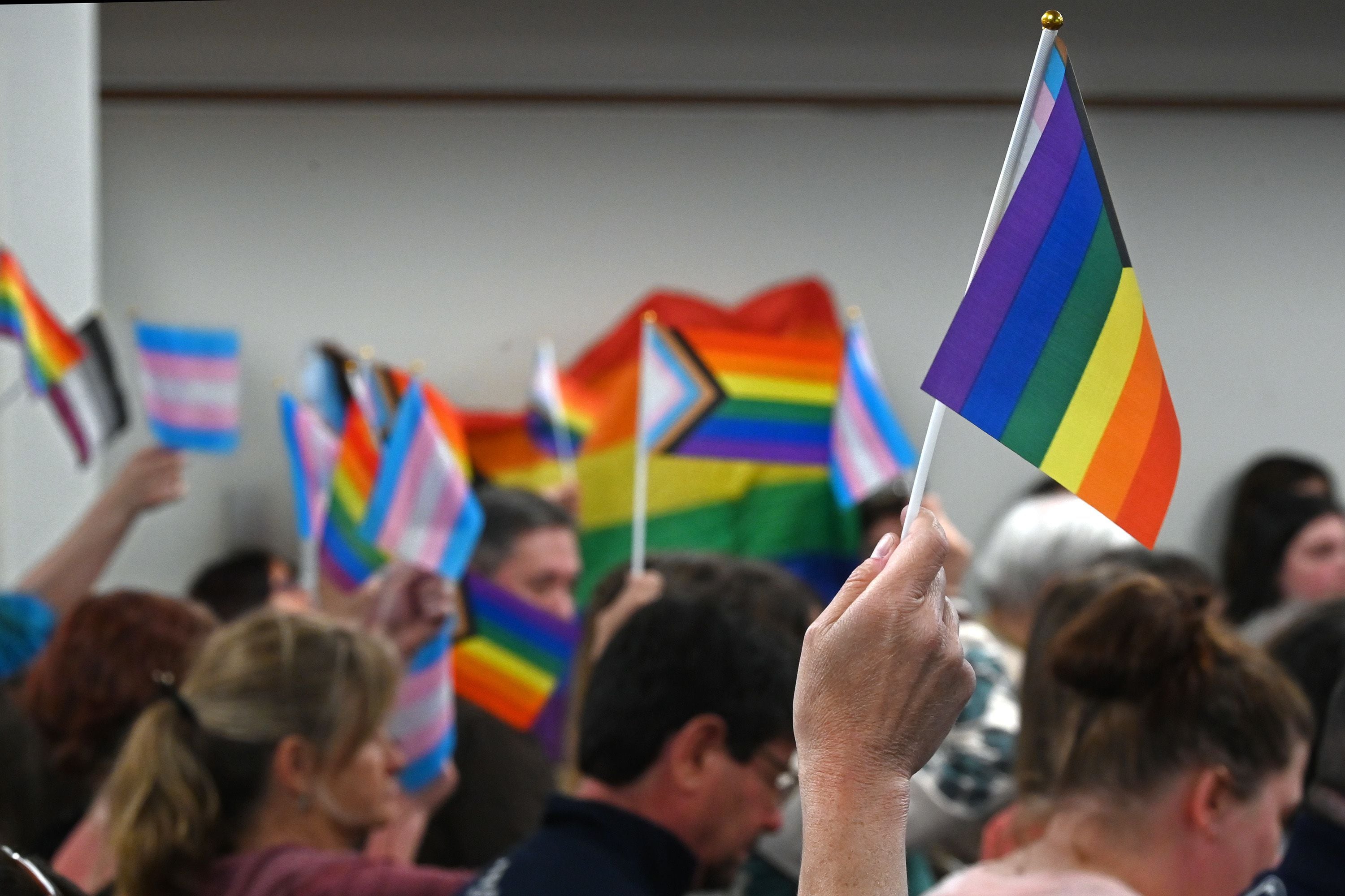 Waving proudly: Learn the meanings behind LGBT flags The Daily The
