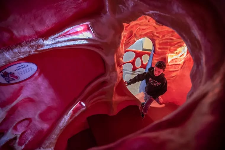 A student from the Krieger Schechter Day School of Baltimore, on a field trip to the Franklin Institute on Feb. 12, 2020, enters the right ventricle of the Giant Heart.