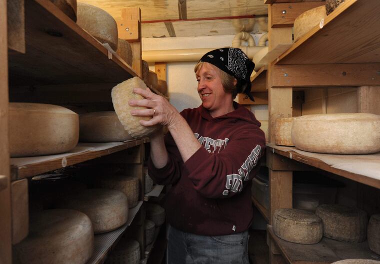 Sue Miller of Birchrun Hills Farm in Chester Springs turns wheels of Equinox (an alpine-style cheese) in an aging room. 