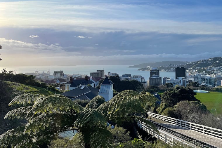 The skyline and harbor of Wellington, New Zealand.