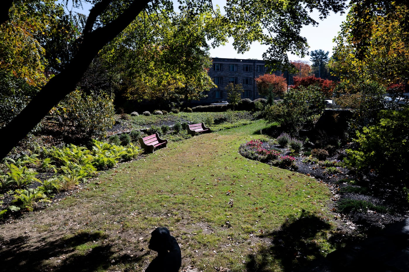 A newly renovated garden at Rosemont College.