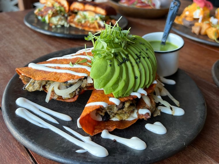 Sor Ynez's breakfast (brunch) tacos, with housemade corn tortillas and a scramble of eggs, pork chorizo, black beans, Oaxaca cheese, serrano pepper, avocado, pickled onion, crema, and salsa verde.