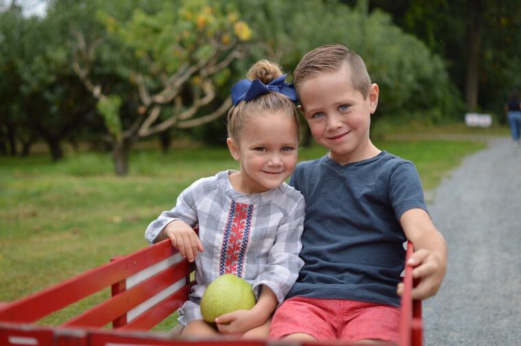 Kids enjoying the apple picking options at Brecknock Orchard.