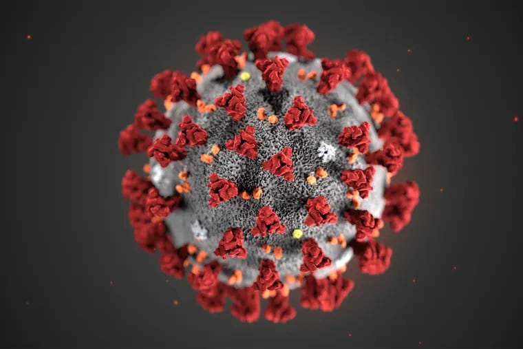 This illustration provided by the Centers for Disease Control and Prevention (CDC) shows the 2019 novel coronavirus. Prescription drug shortages are anticipated in the U.S. because so many pharmaceutical ingredients and medicines come from China, where the virus has limited travel and disrupted daily life. (CDC via AP, File)