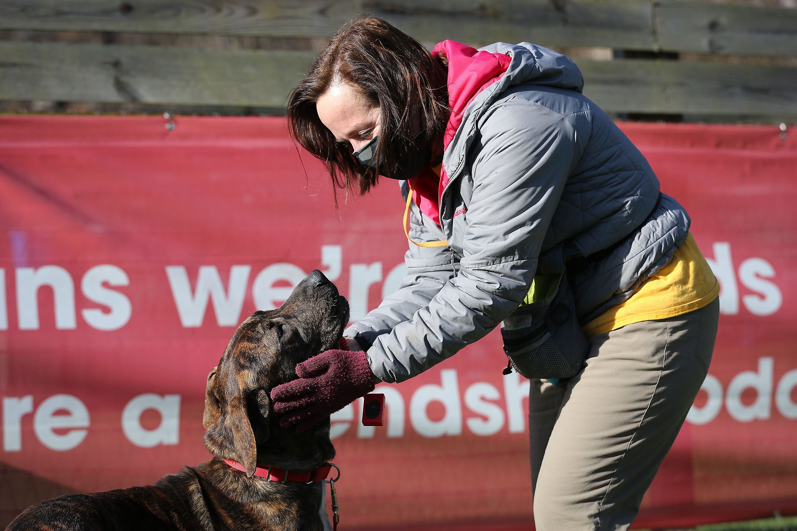 More Dog Cat Adoptions At Philly Animal Shelters As Demand Remains High Amid Coronavirus