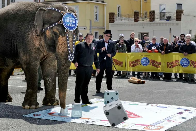Ringling Bros. and Barnum &amp; Bailey's 52-year-old Asian elephant Dutchess plays a game of Monopoly with Atlantic City Mayor Don Guardian (right) during a publicity event for the circus, performing at Boardwalk Hall through Sunday.