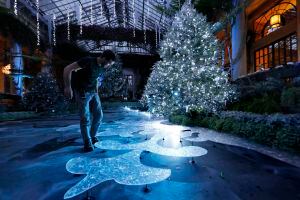 Longwood Gardens Christmas 2022 Prices Longwood Gardens Christmas Lights Show Open For 2021