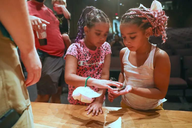 At Philly bug fest, bugs get love. Who knew a roach had 2 brains?