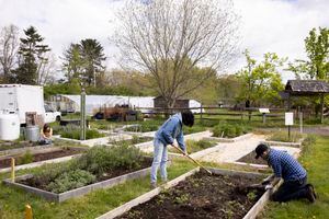 Community Gardens & Orchards